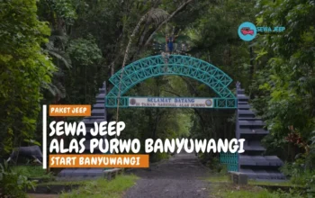 Sewa Jeep alas purwo