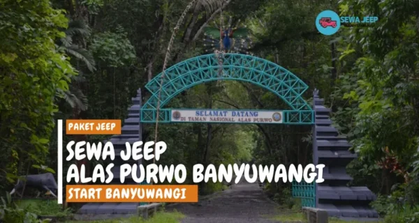 Sewa Jeep alas purwo