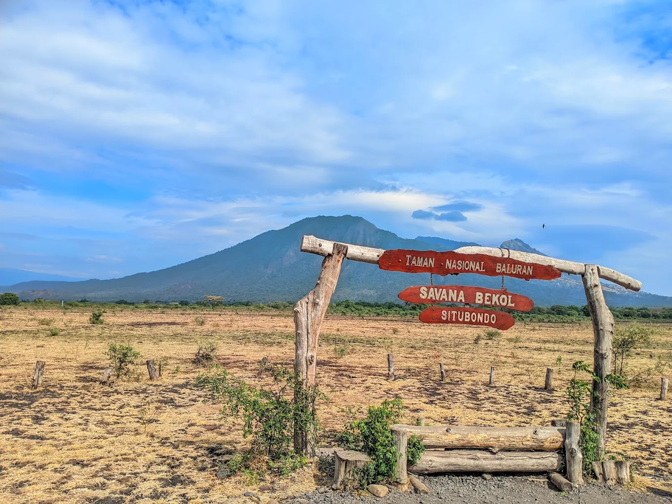 savana bekol baluran