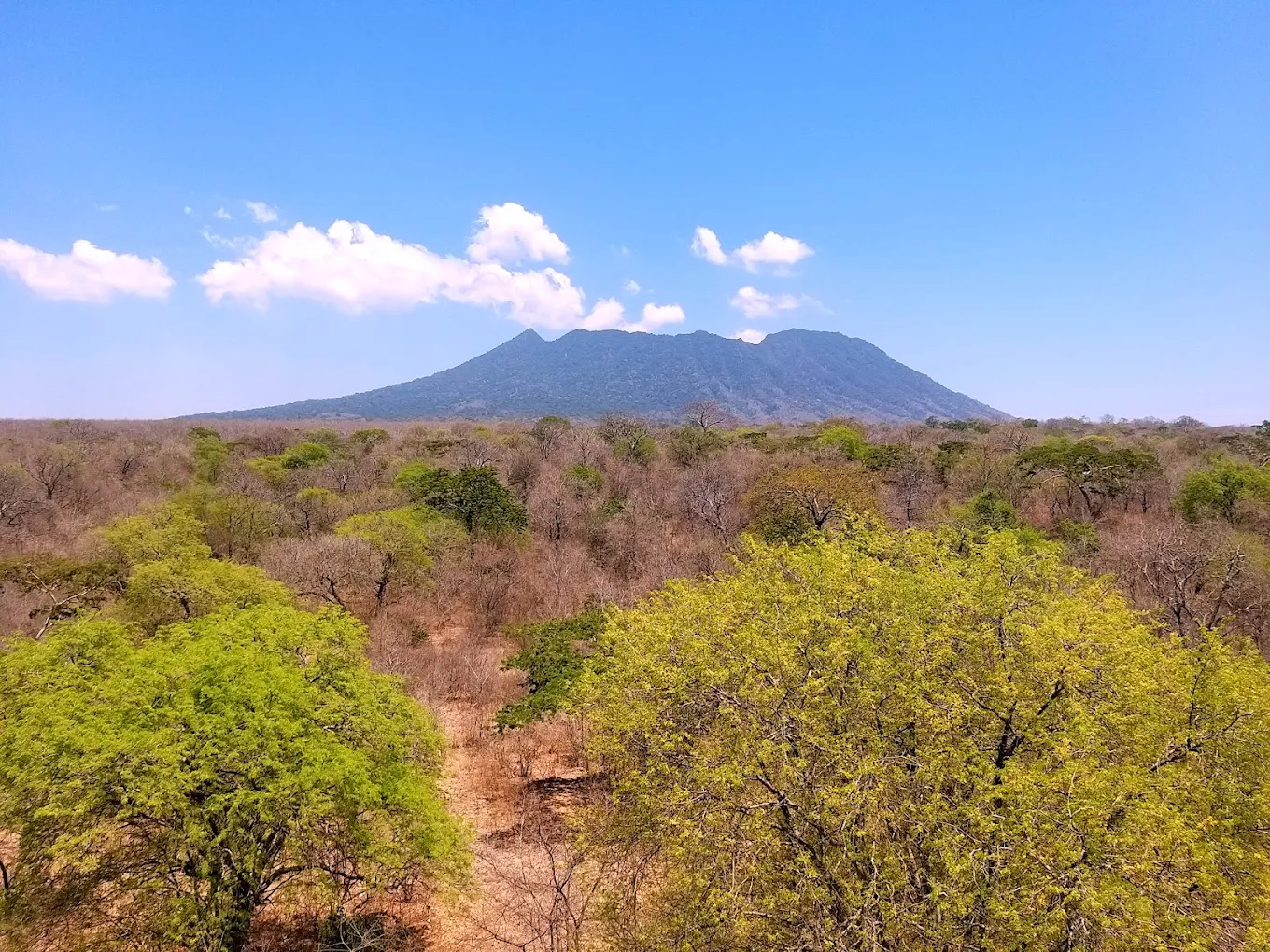 hutan baluran banyuwangi