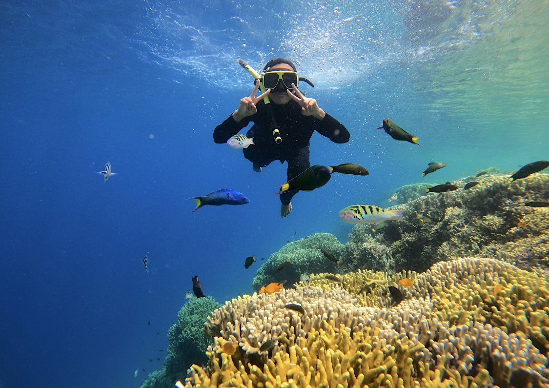 pulau menjangan