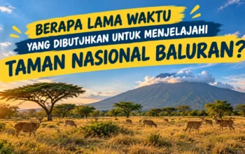taman nasional baluran