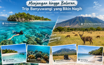 menjangan baluran trip banyuwangi